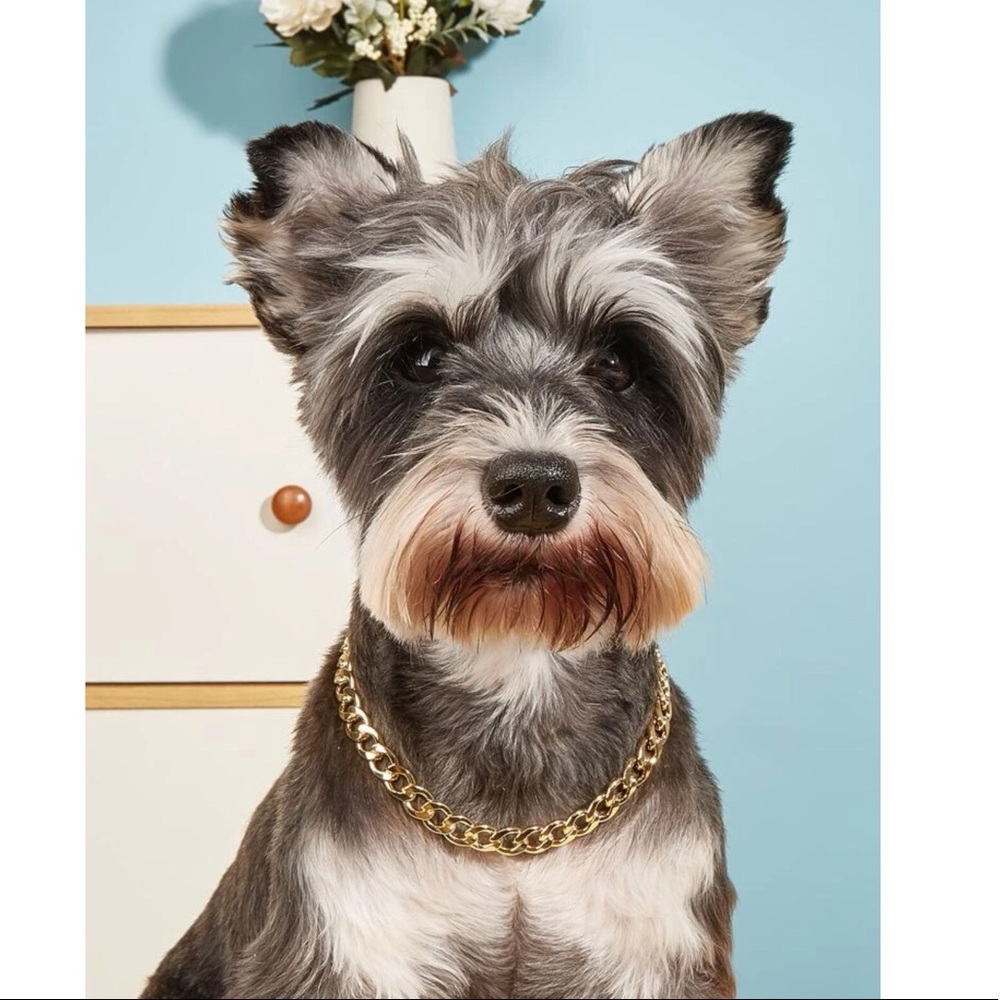 Chain Pet Necklace 🐕